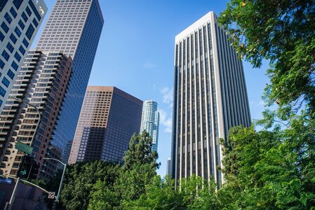Downtown Los Angeles Skyline