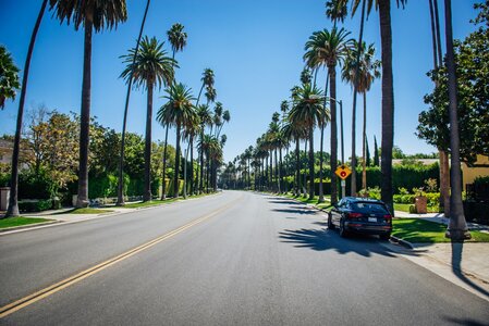 Strasse mit Palmen in Beverly Hills