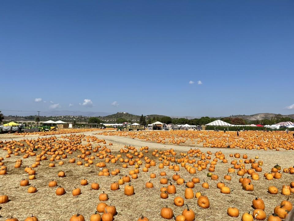 Underwood Family Farms – Herbstspaß für Familien nördlich von Los Angeles