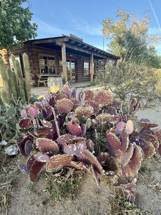 Pioneertown – ein lohnenswerter Abstecher am Rande des Joshua Tree Nationalparks
